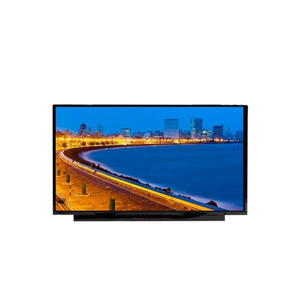 NE173FHM-NX 1 17. 3 inch 1920*1080 LCD màn hình