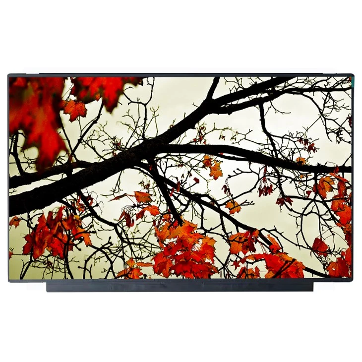 Màn hình LCD NS160WU0-M60 Màn hình LCD 16.0 inch 1920 * 1200